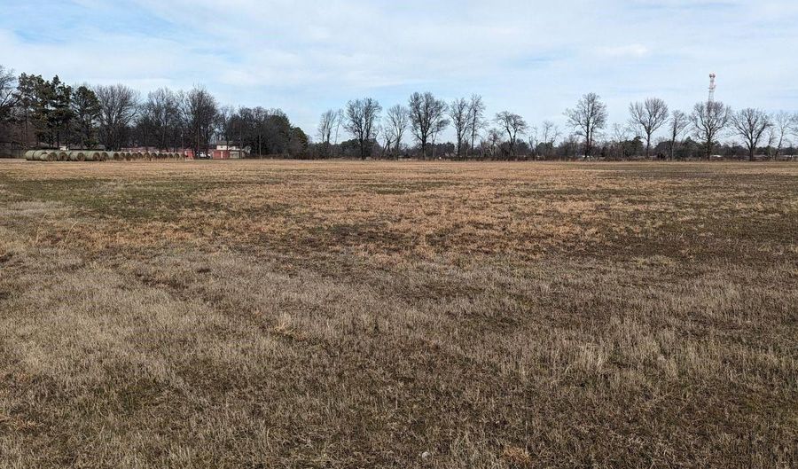 14 31 Acres Highway 463, Bay, AR 72411 - 0 Beds, 0 Bath