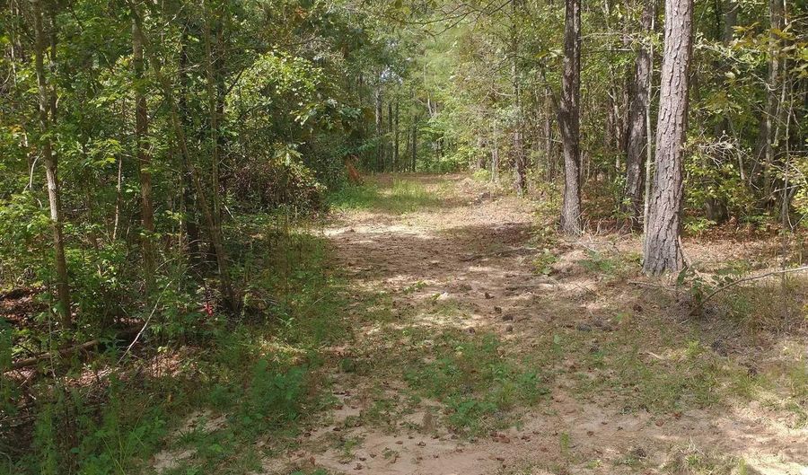 334 SERENITY Ln Lot 1, Alpine, AL 35014 - 0 Beds, 0 Bath
