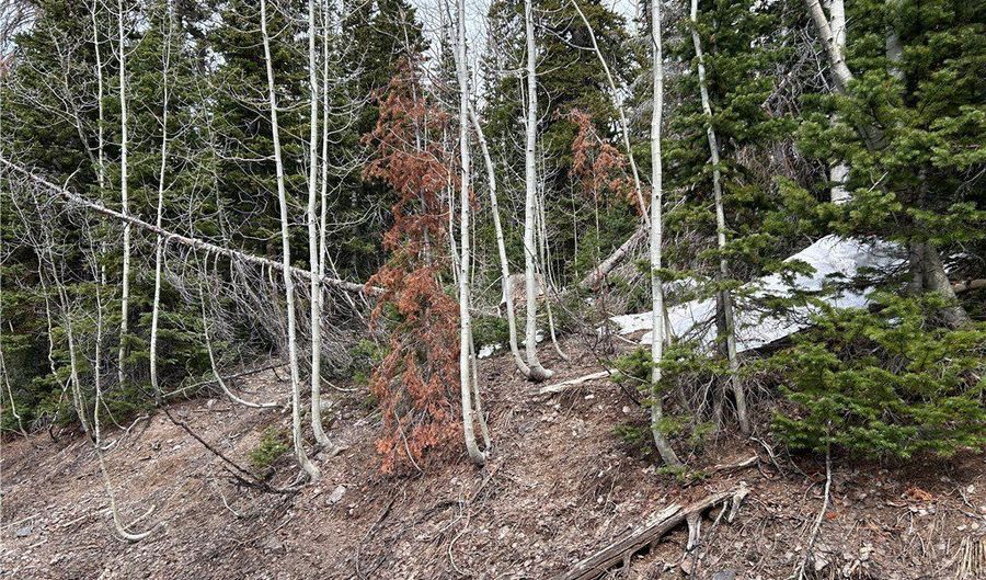 380 N Forest Dr, Brian Head, UT 84719 - 0 Beds, 0 Bath