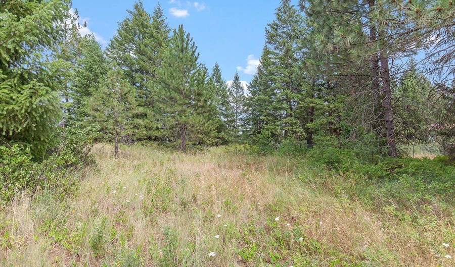 NKA E Forest View Rd, Athol, ID 83801 - 0 Beds, 0 Bath