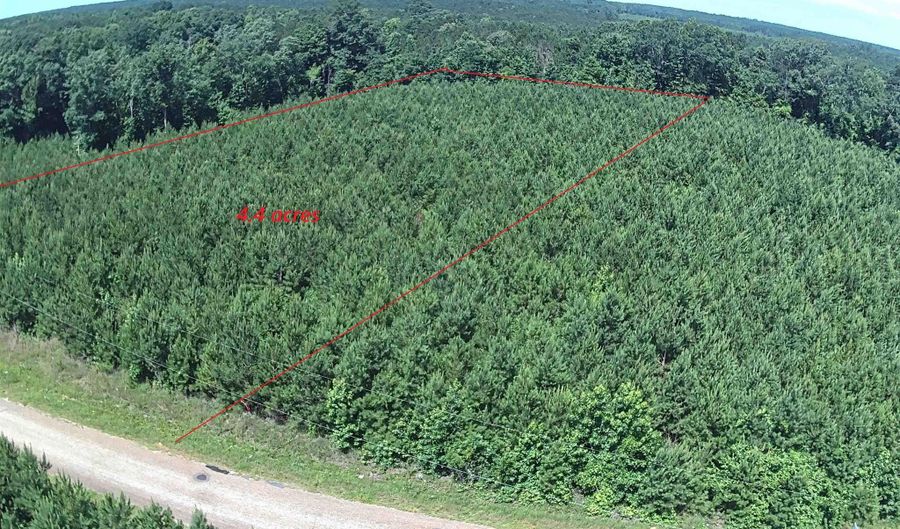 PARISH LINE ROAD lot 4.4, Bernice, LA 71277 - 0 Beds, 0 Bath