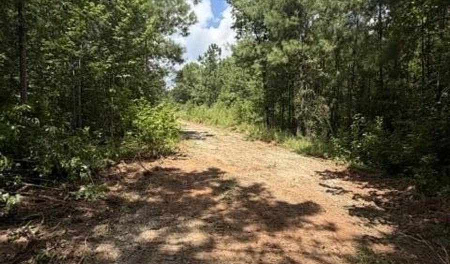 255 Menros Way, Appling, GA 30802 - 0 Beds, 0 Bath
