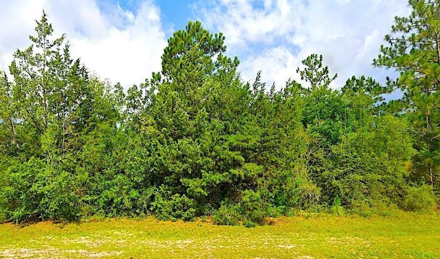 FAIRVIEW ROAD, Alford, FL 32420 - 0 Beds, 0 Bath