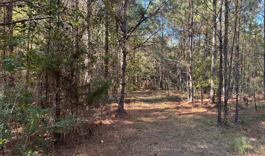 Smith County Road 18-5a, Bay Springs, MS 39422 - 0 Beds, 0 Bath