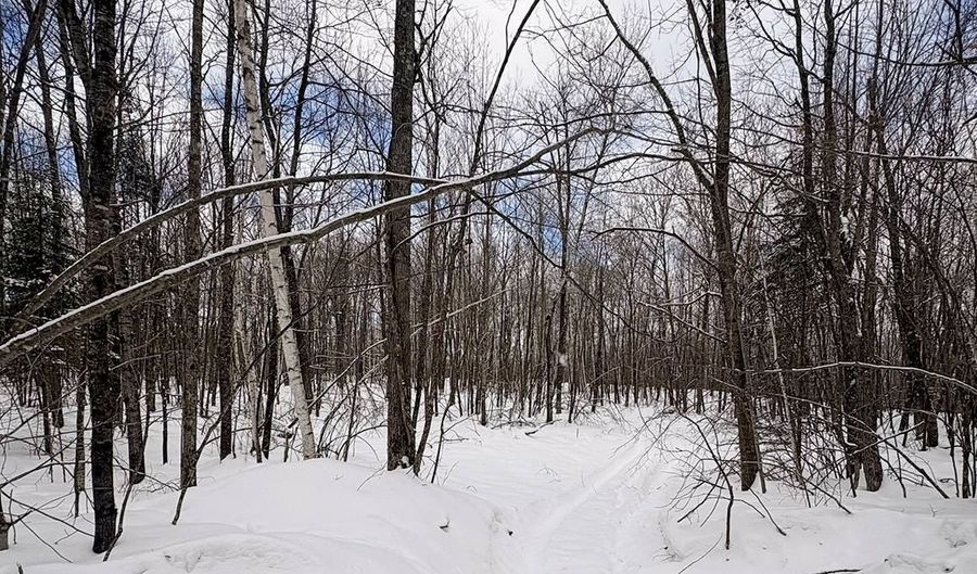 606 Log Lodge Rd, Winter, WI 54896 - 0 Beds, 0 Bath