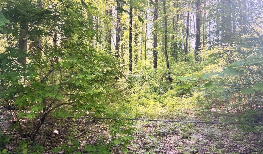 62 Route 126, Canaan, CT 06031 - 0 Beds, 0 Bath