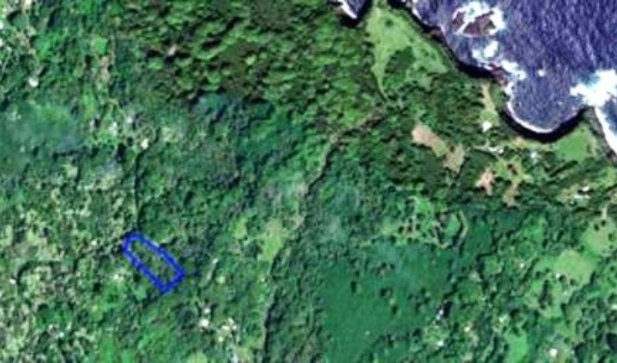 772 Nahiku Rd, Hana, HI 96713 - 0 Beds, 0 Bath