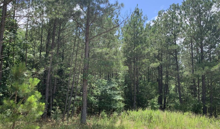 Na Metasville Road, Lincolnton, GA 30817 - 0 Beds, 0 Bath