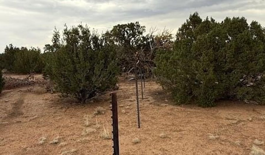 35 County Road 3044, Concho, AZ 85924 - 0 Beds, 0 Bath