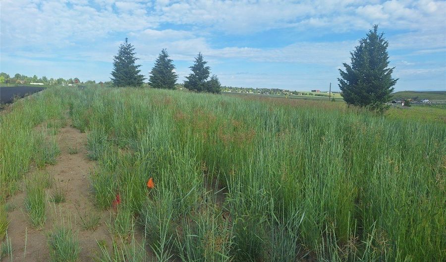 125 Blossom Way, Bozeman, MT 59715 - 0 Beds, 0 Bath