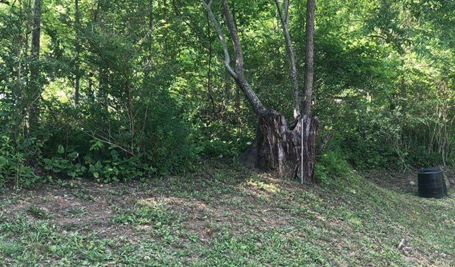 Raven Nest Branch Rd. lot 0, Bandy, VA 24602 - 0 Beds, 0 Bath