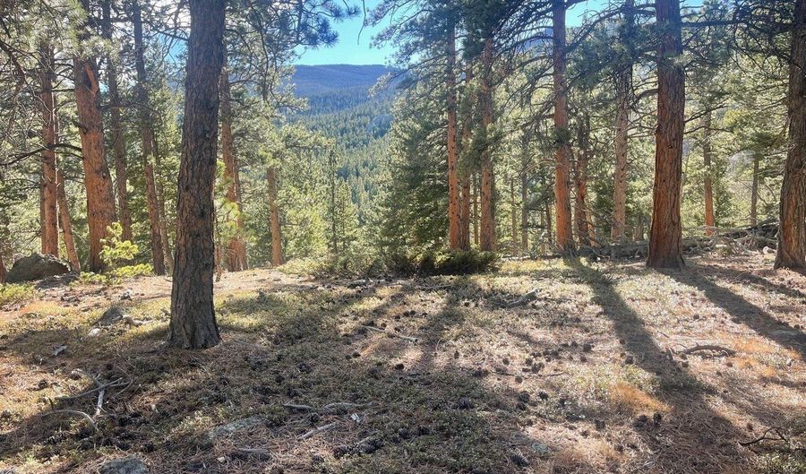 399 N Skinner Rd, Allenspark, CO 80510 - 0 Beds, 0 Bath