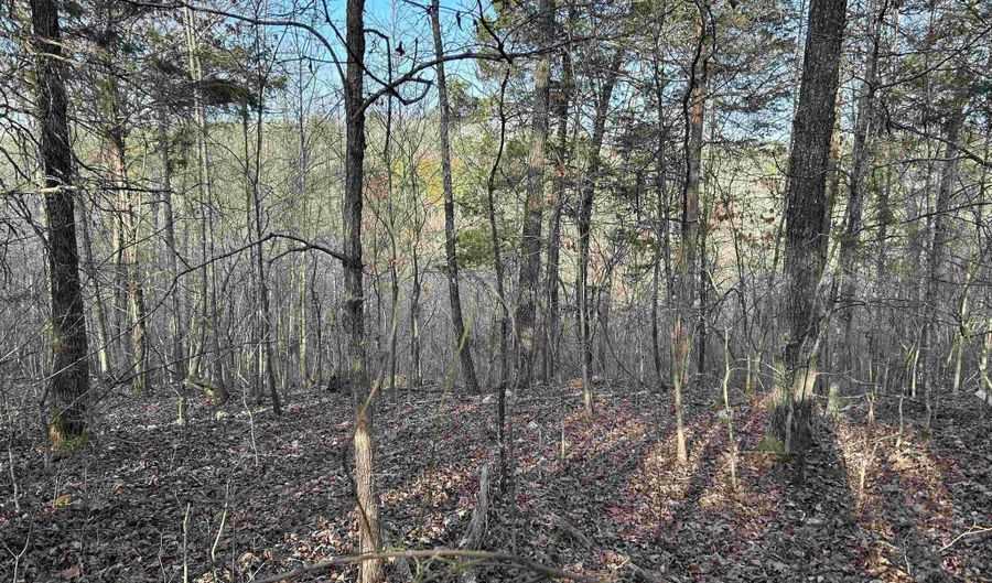 000 County Road 145, Alton, MO 65606 - 0 Beds, 0 Bath