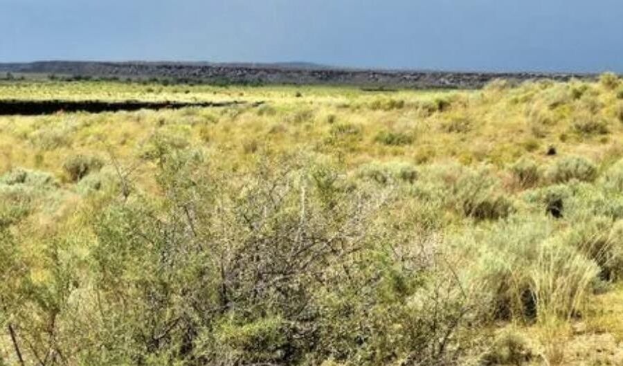 207-53 006 Bell Brand Rnch 6, Chambers, AZ 86502 - 0 Beds, 0 Bath