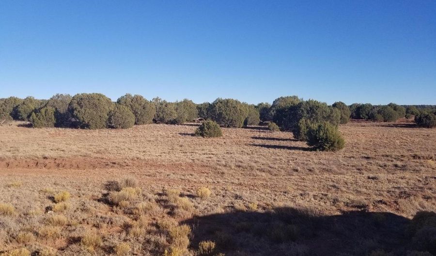 Lot 35 CR 8281, Concho, AZ 85924 - 0 Beds, 0 Bath