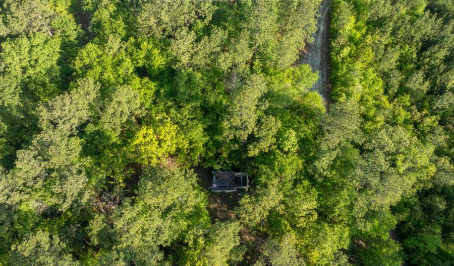 Ethridge Drive, Andrews, SC 29510 - 0 Beds, 0 Bath