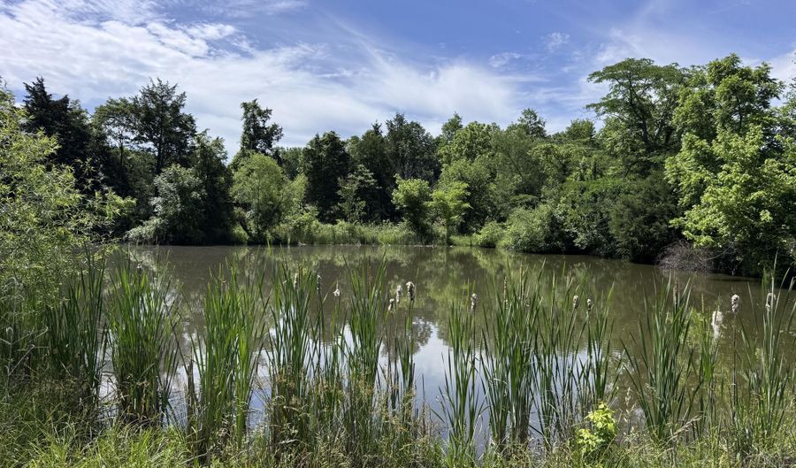 9999 Cedarmore Rd, Bagdad, KY 40003 - 0 Beds, 0 Bath