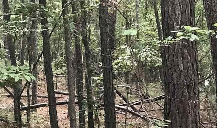 LAKESIDE LANE lot 22, Alpine, AL 35014 - 0 Beds, 0 Bath