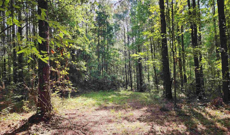 0 Lowery Rd Lot #11, Atmore, AL 36502 - 0 Beds, 0 Bath