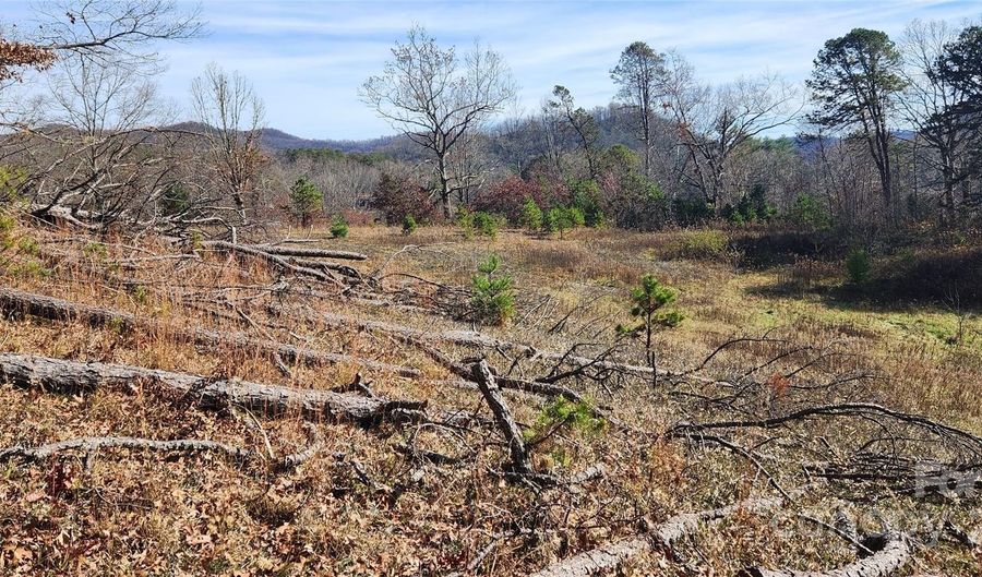 1 Gaylors Br 1, Balsam Grove, NC 28708 - 0 Beds, 0 Bath