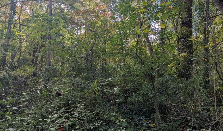99999 Taft Ave, Asheville, NC 28803 - 0 Beds, 0 Bath