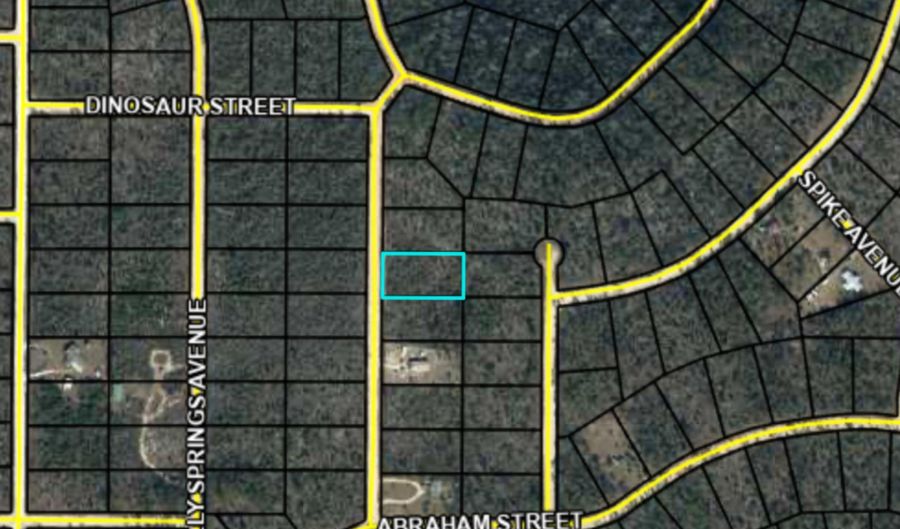 Chattahoochee Avenue, Alford, FL 32420 - 0 Beds, 0 Bath