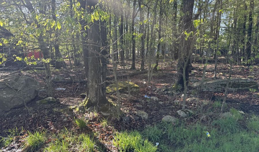 Lot K204 Knollwood Dr Drive, Tobyhanna, PA 18466 - 0 Beds, 0 Bath