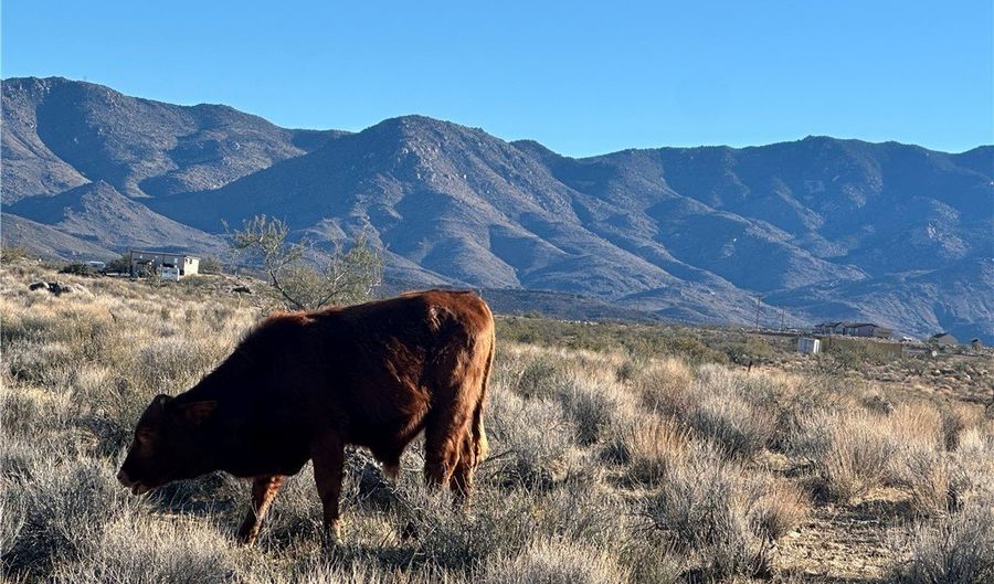 N Lost Mine Drive, Chloride, AZ 86431 - 0 Beds, 0 Bath