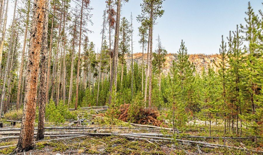 Harris Road lot 2 Tbd, Anaconda, MT 59711 - 0 Beds, 0 Bath