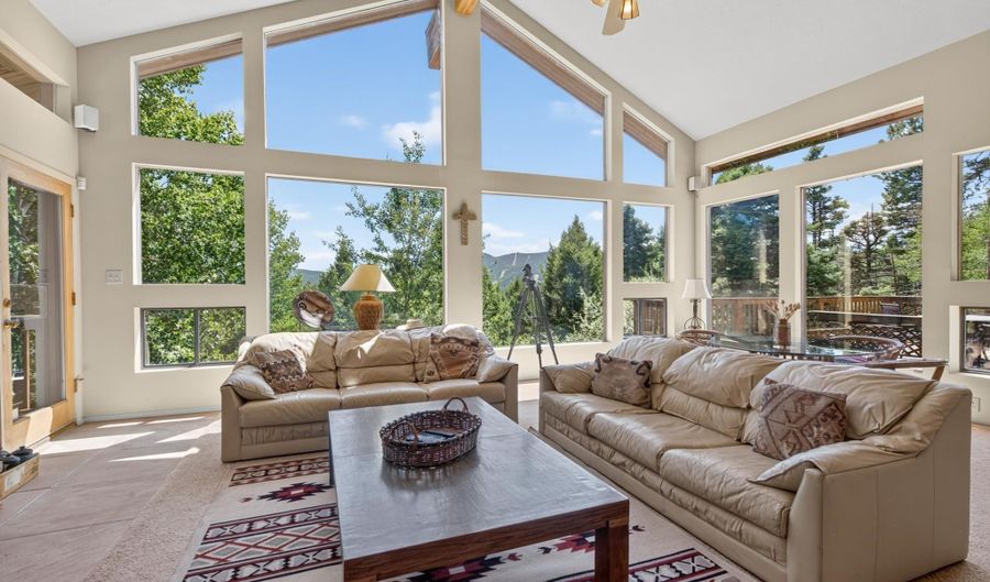 24 Buena Vista Dr, Angel Fire, NM 87710 - 4 Beds, 6 Bath