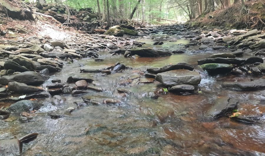 Lower Dingle Hill Road, Andes, NY 13731 - 0 Beds, 0 Bath