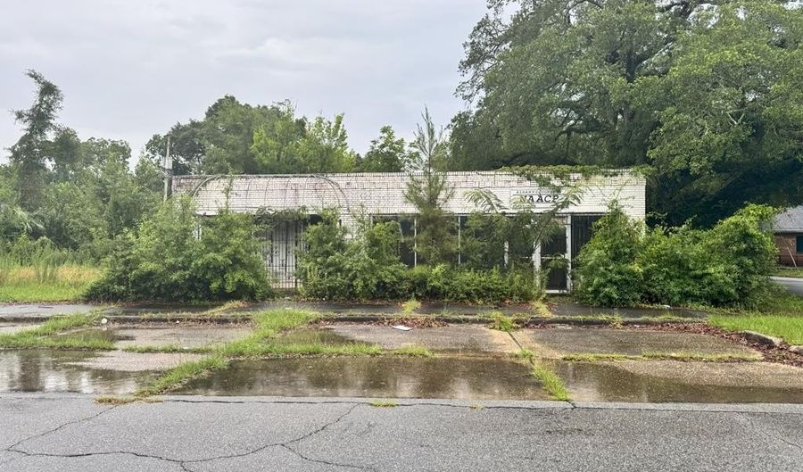 436 Mercer Ave, Albany, GA 31701 - 0 Beds, 0 Bath