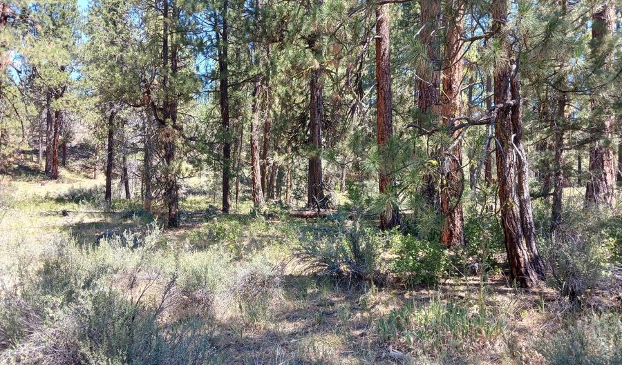 Oriole Drive Lot 13, Bonanza, OR 97623 - 0 Beds, 0 Bath