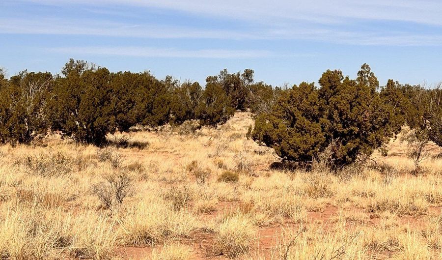 Tbd 207-69-014E, Chambers, AZ 86502 - 0 Beds, 0 Bath