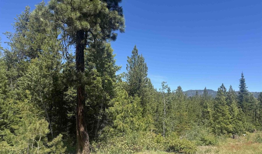 Saddle Rock Dr, Cascade, ID 83611 - 0 Beds, 0 Bath