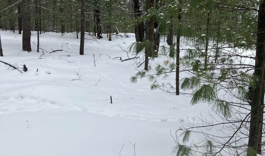 VL Wilderness Circle, Alger, MI 48610 - 0 Beds, 0 Bath
