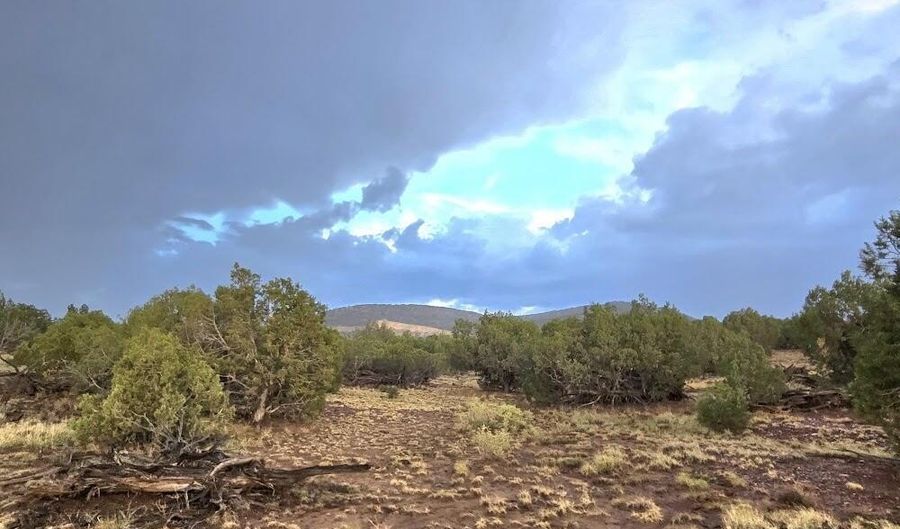 Lot 9 Pinon Valley Ranch, Concho, AZ 85924 - 0 Beds, 0 Bath