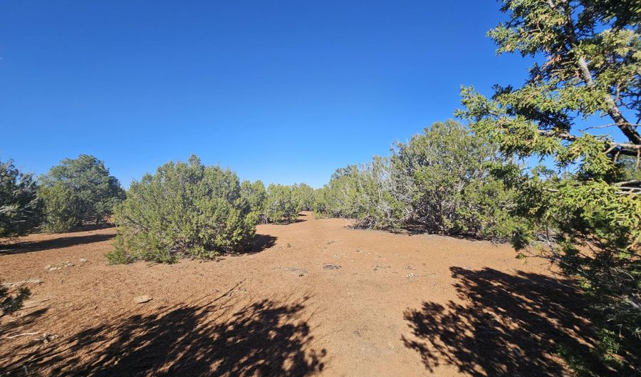 21 Co Rd 8032 # 8032, Concho, AZ 85924 - 0 Beds, 0 Bath
