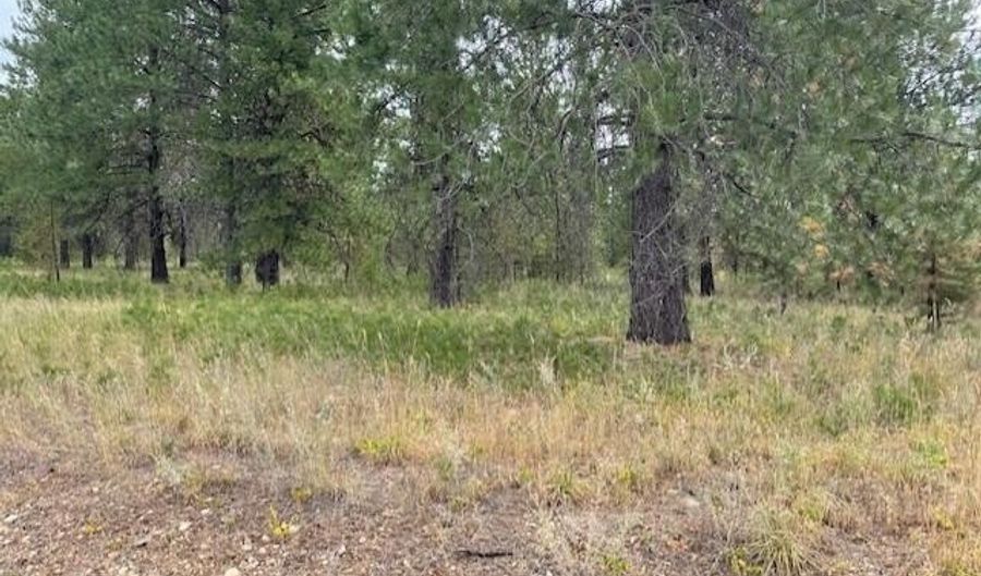Lot 4 Sheep Springs Rd, Athol, ID 83801 - 0 Beds, 0 Bath