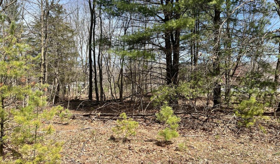Vl Allegan Dam Road, Allegan, MI 49010 - 0 Beds, 0 Bath