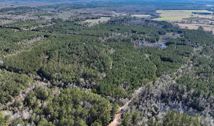 00 Hadwin Rd, Bamberg, SC 29003 - 0 Beds, 0 Bath