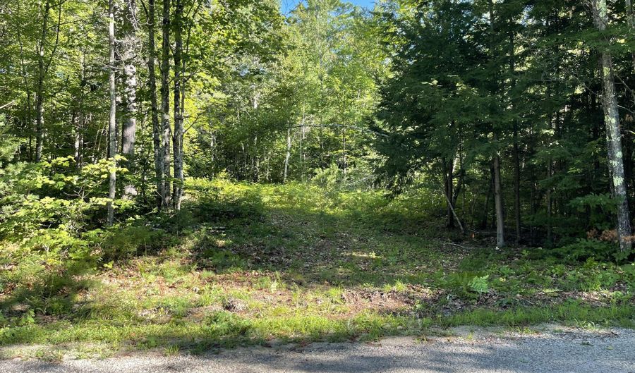 Birch View Drive lot # 0, Albany Twp., ME 04217 - 0 Beds, 0 Bath