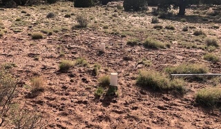 Tbd WICKED SISTERS, Concho, AZ 85924 - 0 Beds, 0 Bath