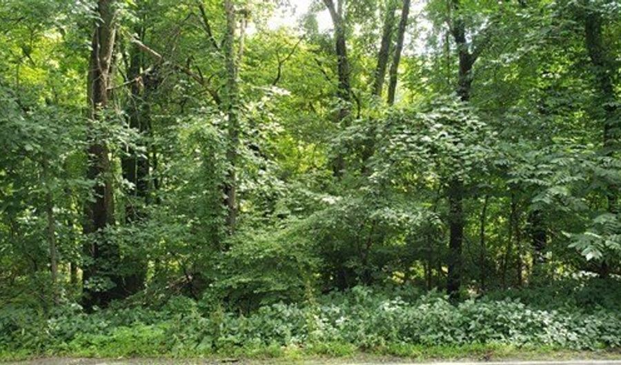 Oak St, Ashland, MA 01721 - 0 Beds, 0 Bath
