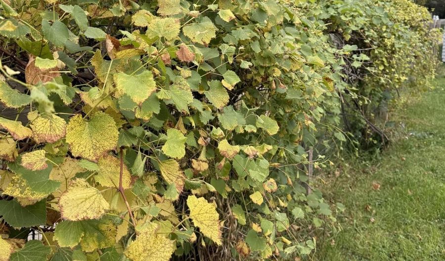 315 West St, Bristol, SD 57219 - 3 Beds, 2 Bath