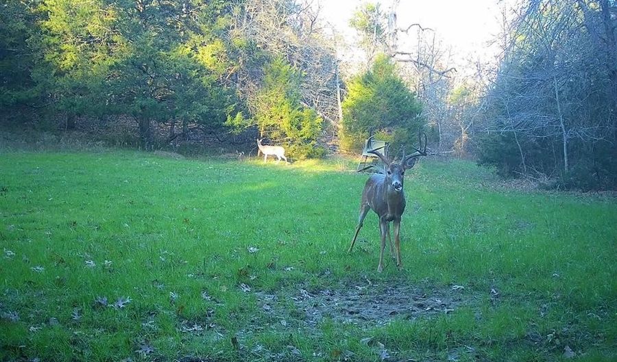 240 Magnolia, Bennington, OK 74723 - 3 Beds, 4 Bath