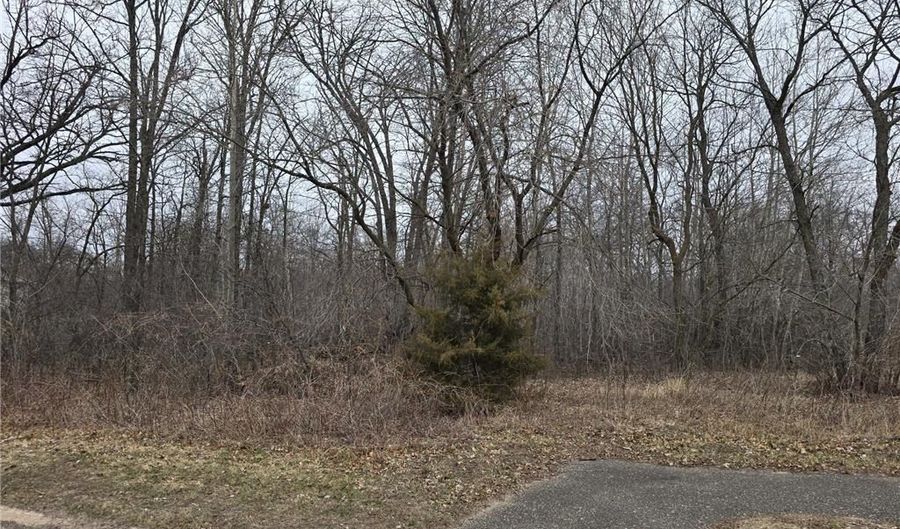 L3 B2 288th Avenue NW, Baldwin Twp., MN 55398 - 0 Beds, 0 Bath