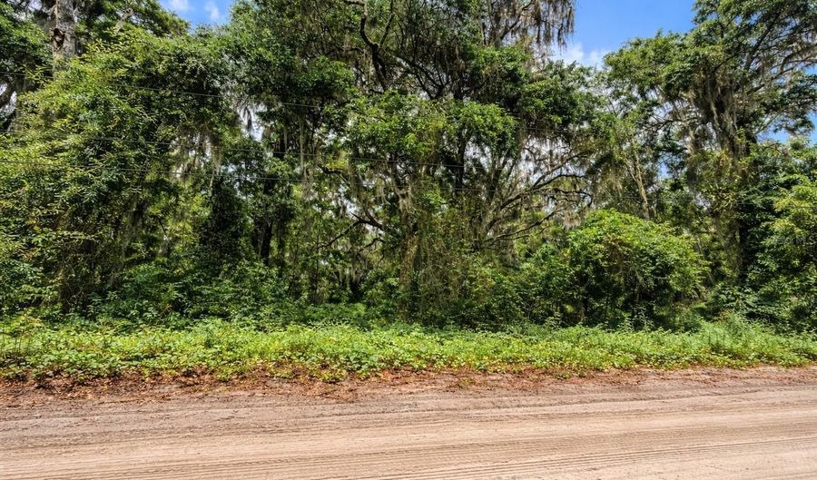 Tbd NE 52ND COURT, Anthony, FL 32617 - 0 Beds, 0 Bath