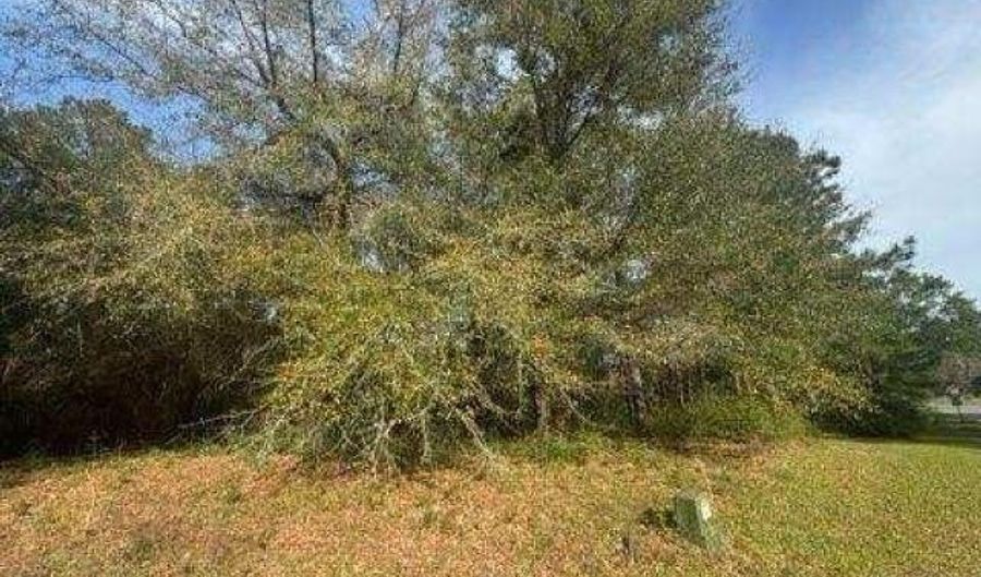 Delta Woods Drive, Bay Minette, AL 36507 - 0 Beds, 0 Bath