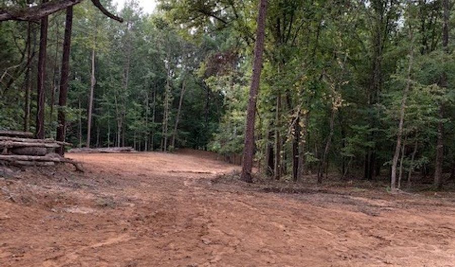 Lot # 1 Market St, Water Valley, MS 38965 - 0 Beds, 0 Bath